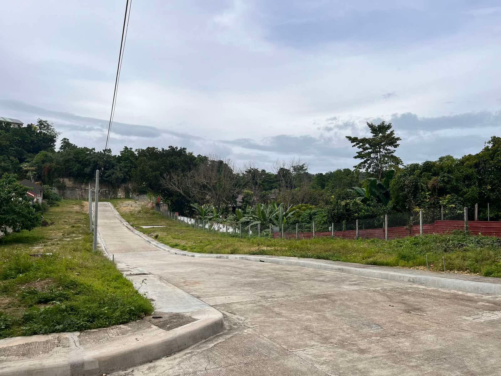 Casili Mandaue, Cebu, 0 , 0 ,0,Lot Only,For Sale,Casili Mandaue,0,1004